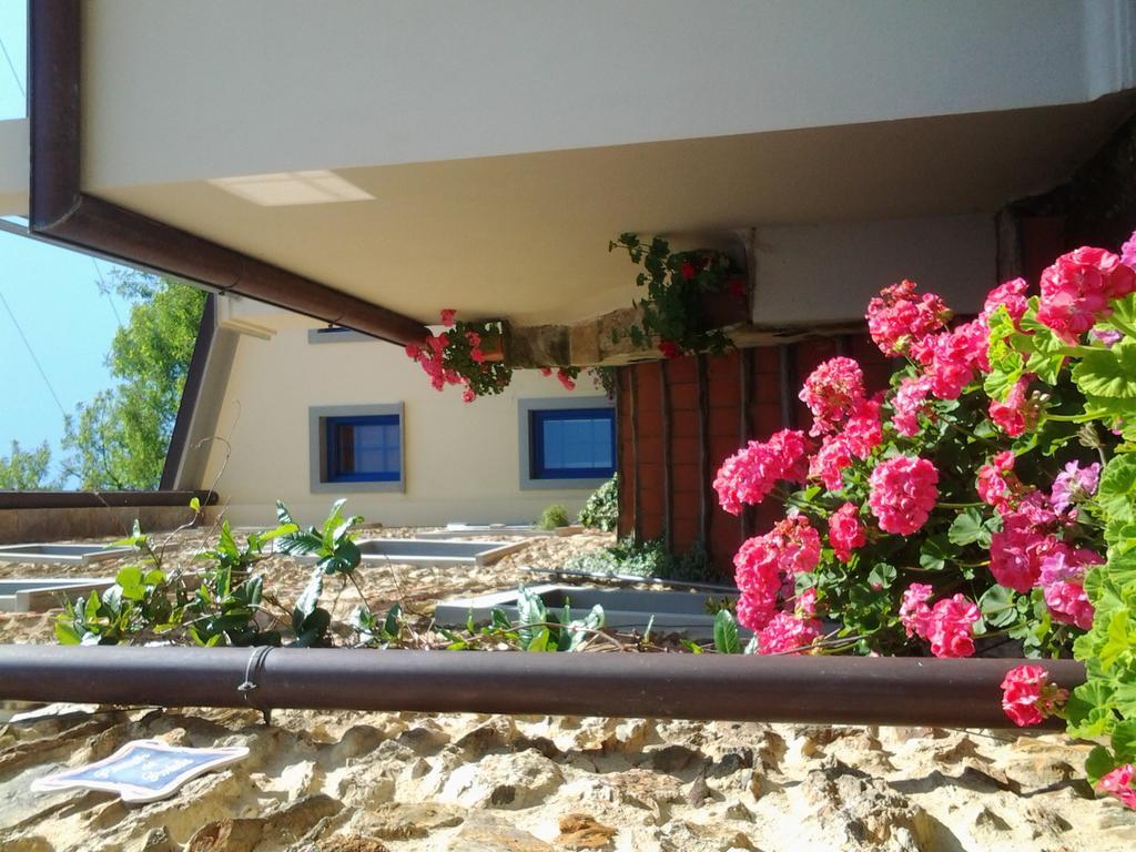 Casa Vacanze Al Settimo Cielo Massa Kültér fotó